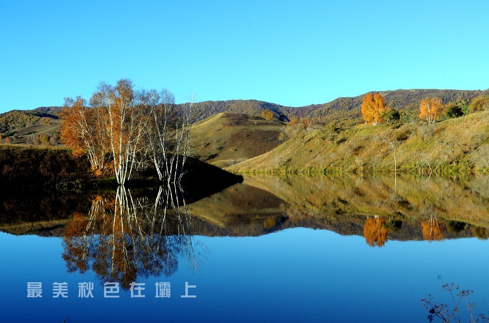 qqͼƬ20131010201725.jpg
