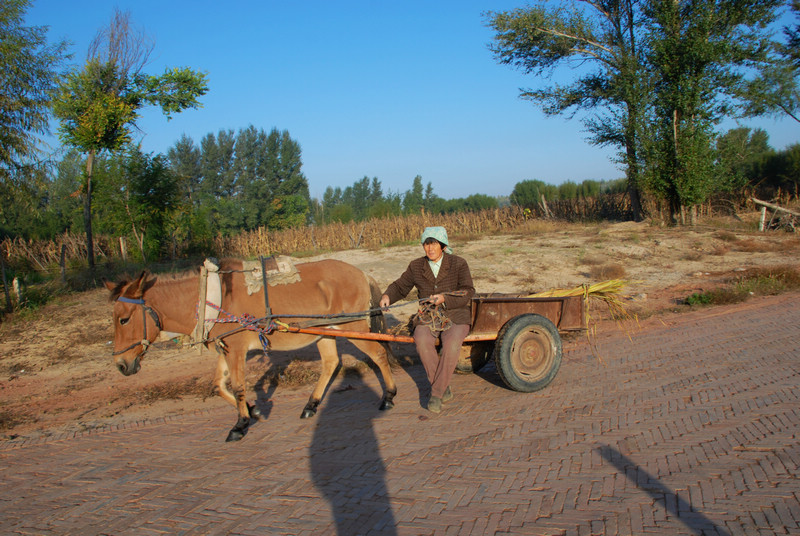 dsc_0258.jpg