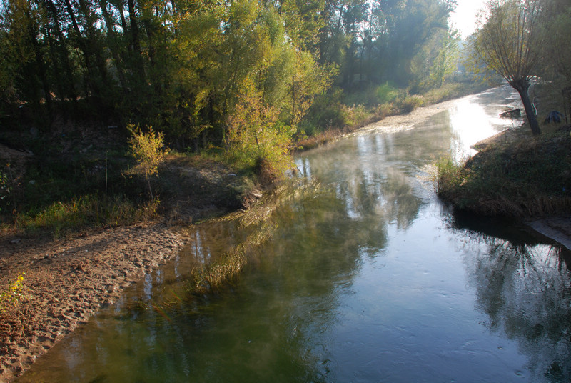 dsc_0262.jpg