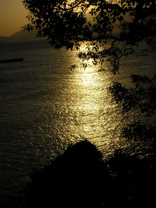 p1010104.jpg