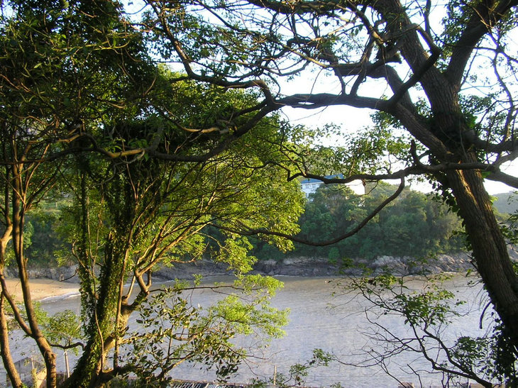 p1010078.jpg