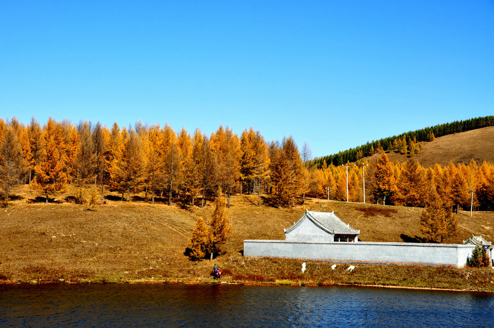 dsc_0582.jpg