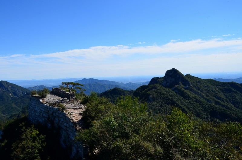 dsc_0996_01.jpg