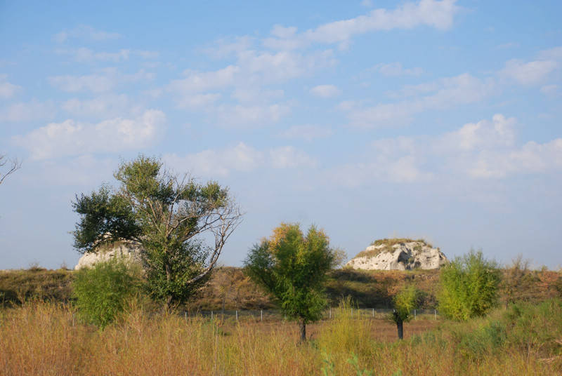dsc_0323.jpg