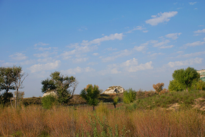 dsc_0324.jpg