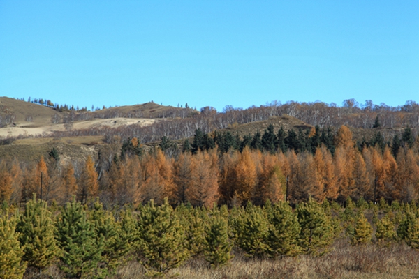 img_4283.jpg