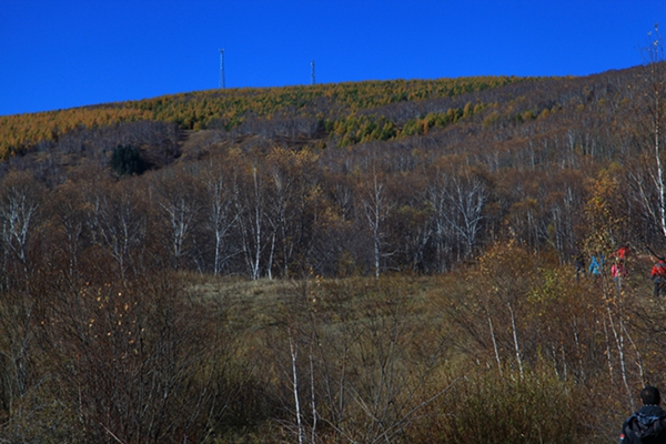 img_4307.jpg