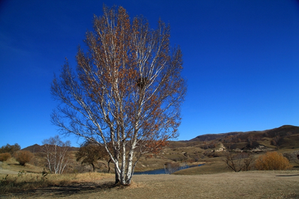 img_4434.jpg
