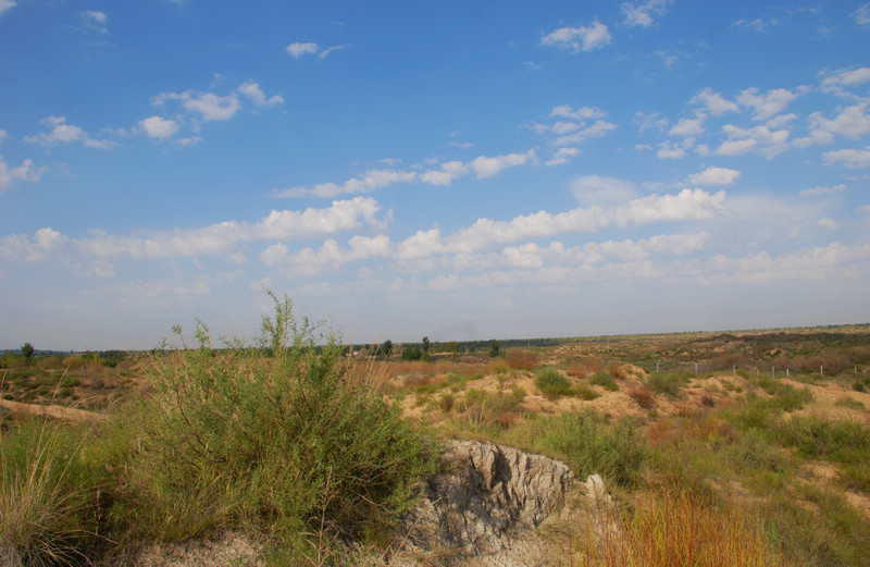 dsc_0389.jpg