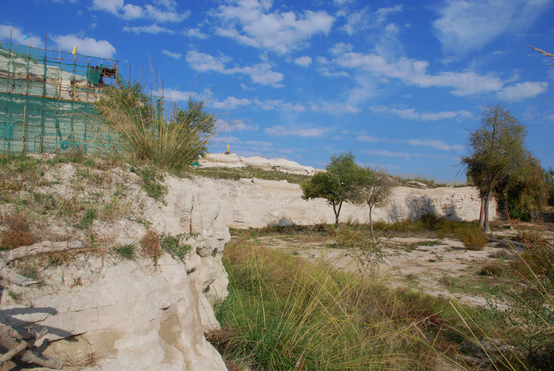 dsc_0408.jpg