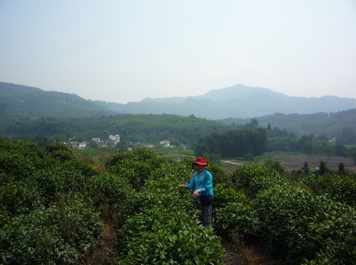 qqͼƬ20131011104148.jpg
