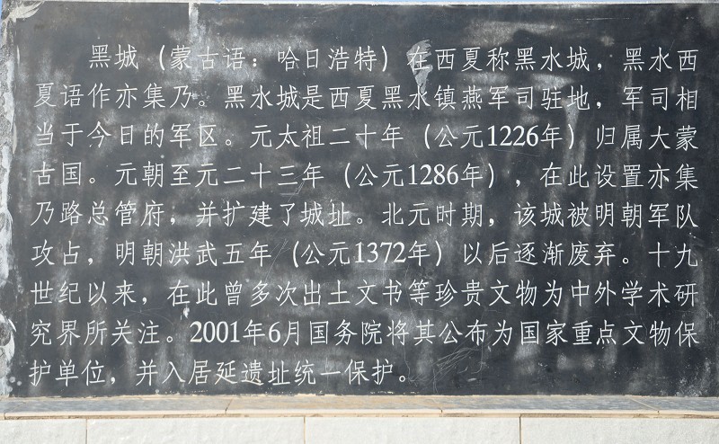 1psb (12).jpg