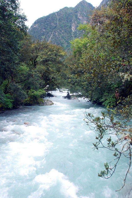 dsc_0256.jpg