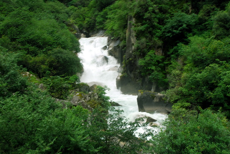 dsc_0222.jpg