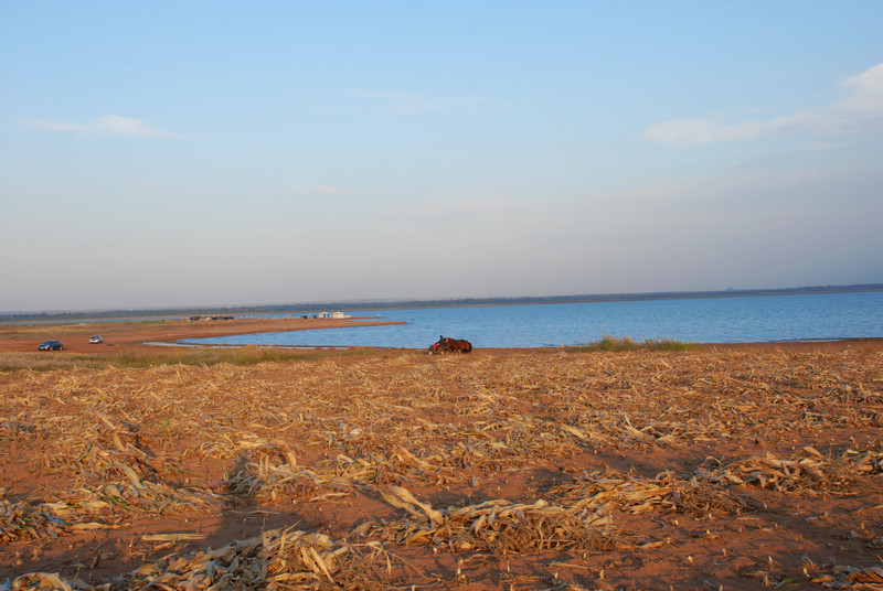 dsc_0460.jpg