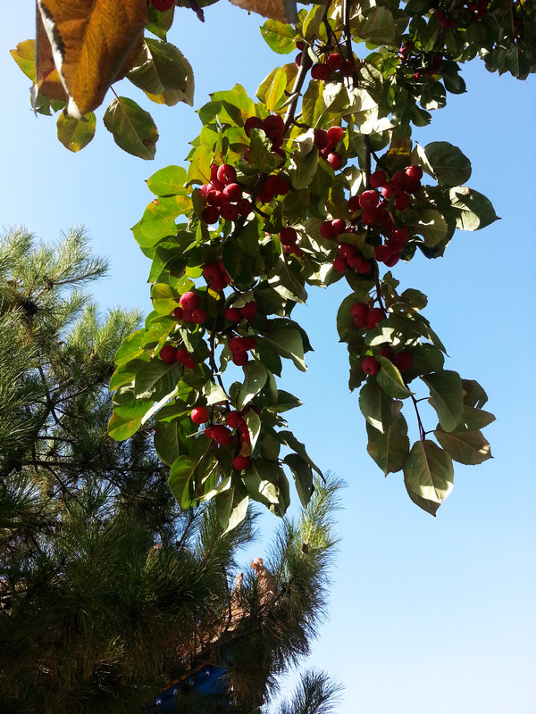 20131003_151631.jpg