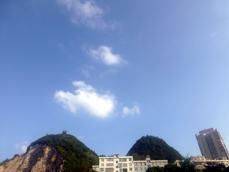 p1110057.jpg