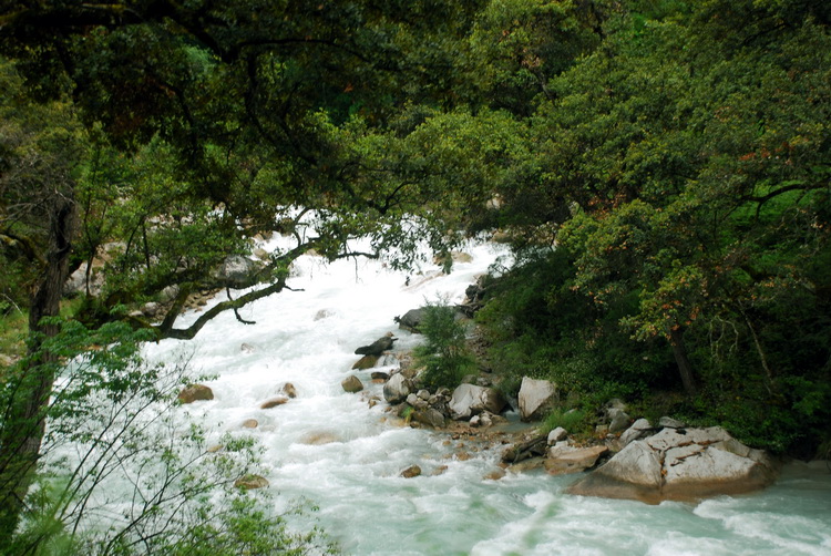 dsc_0243.jpg