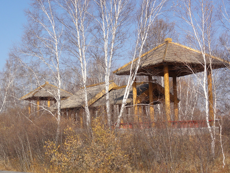 dsc04808_.jpg