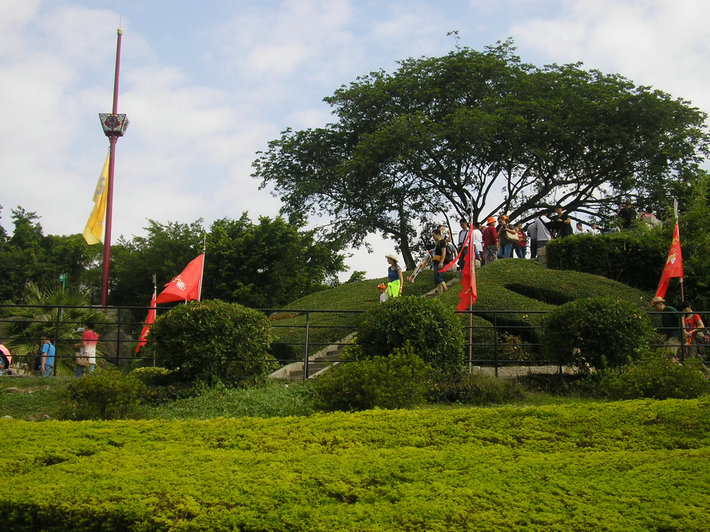 p1010303.jpg