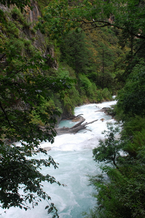 dsc_0278.jpg