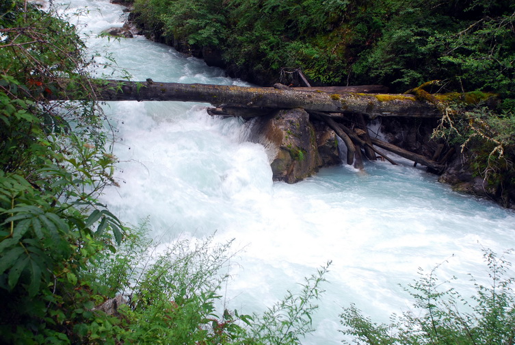 dsc_0272.jpg