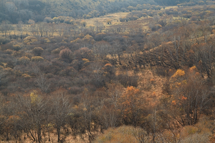 img_4772.jpg
