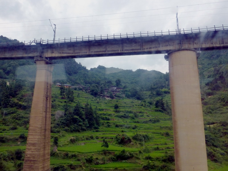 p1110034.jpg