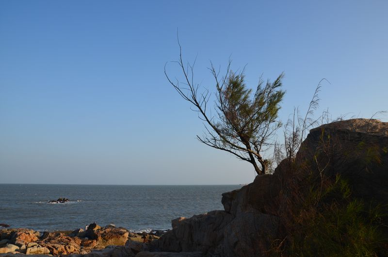dsc_0047a.jpg