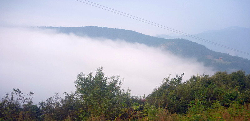 p1160489_.jpg