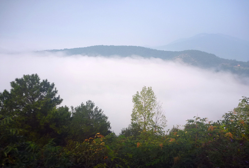 p1160491_.jpg