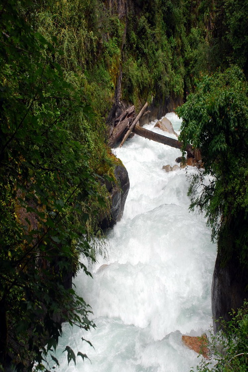 dsc_0285.jpg
