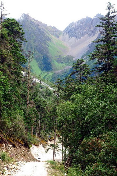 dsc_0301.jpg