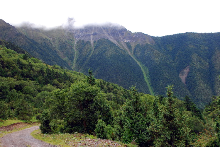 dsc_0315.jpg