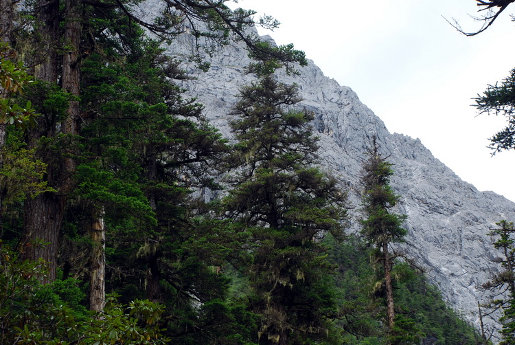 dsc_0300.jpg