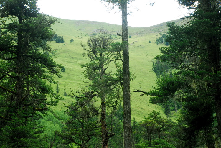 dsc_0302.jpg