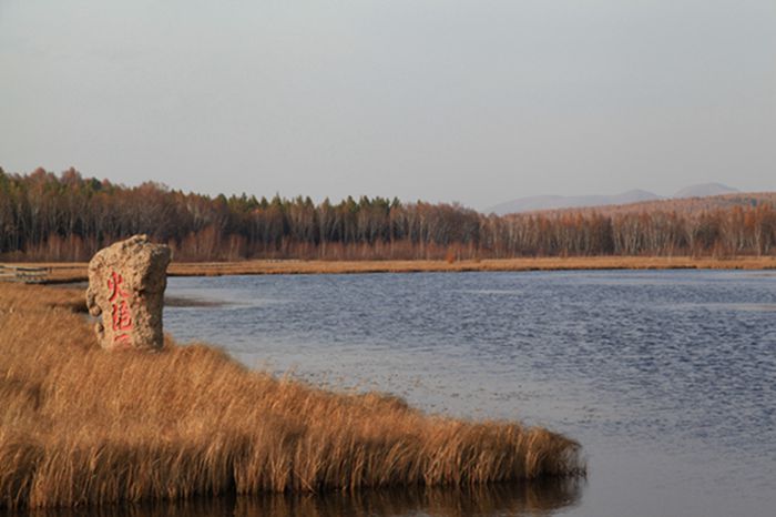 img_4995.jpg