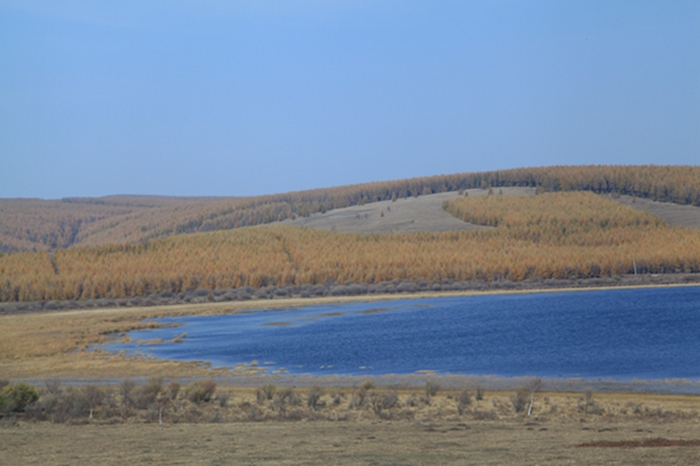 img_4858.jpg