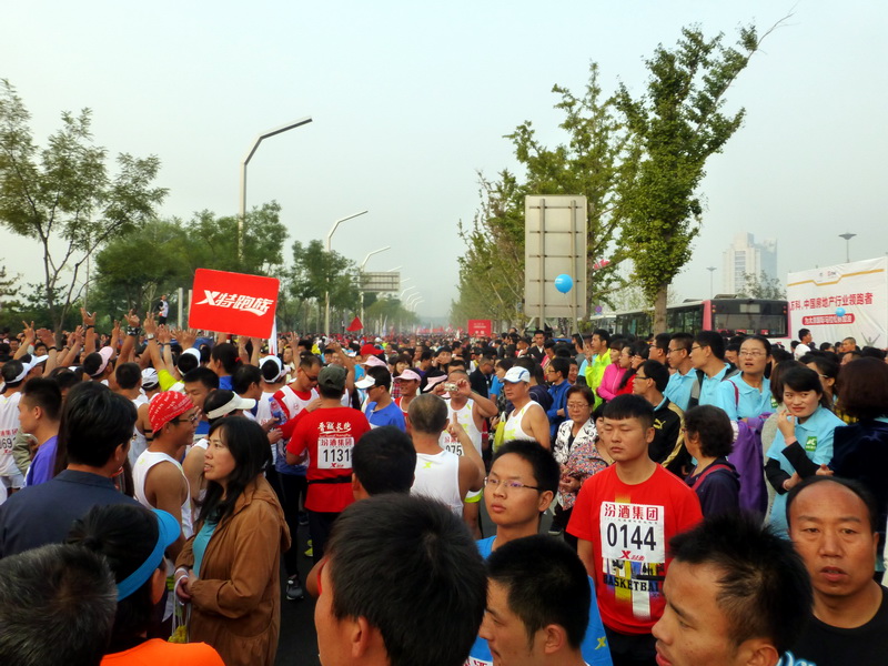 p1130059.jpg