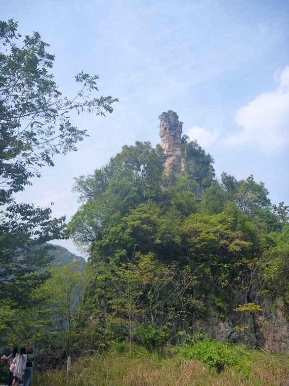 p1160495_.jpg