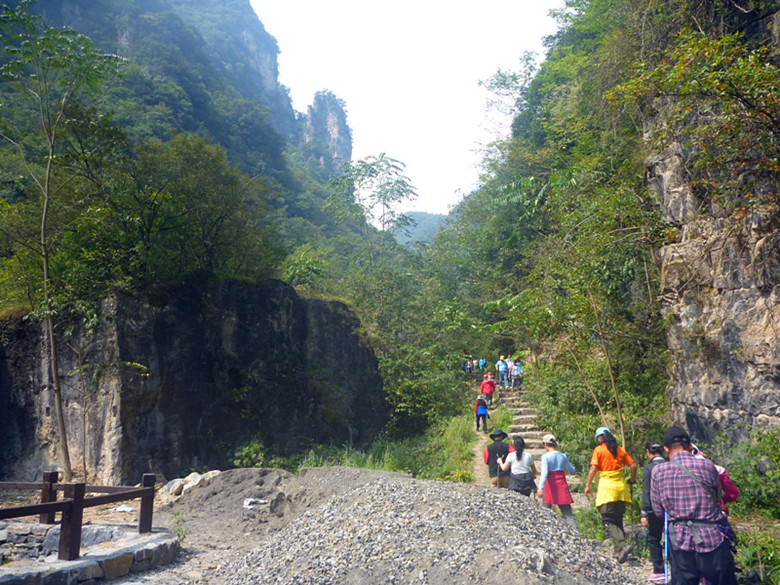 p1160501_.jpg