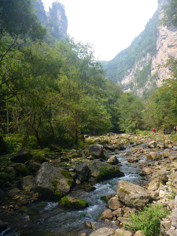 p1160503_.jpg