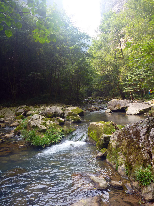 p1160504_.jpg