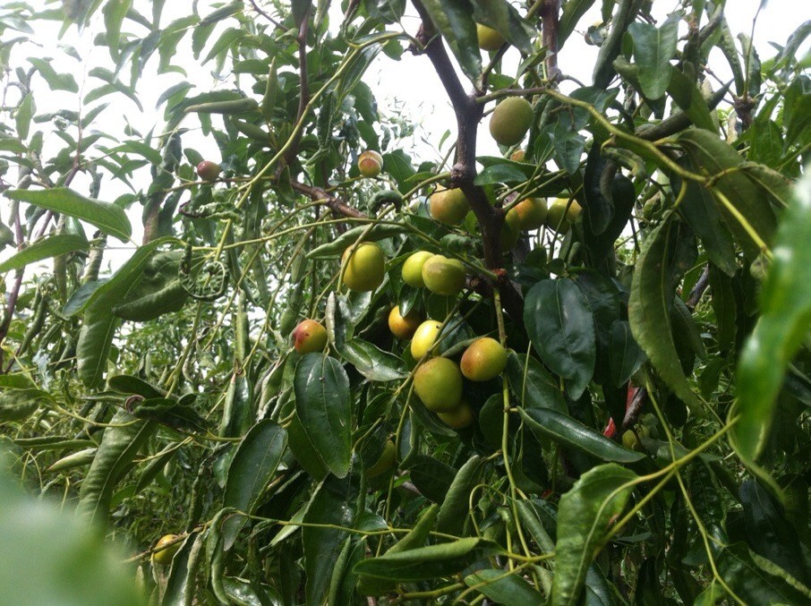 qqͼƬ20131010162542.jpg
