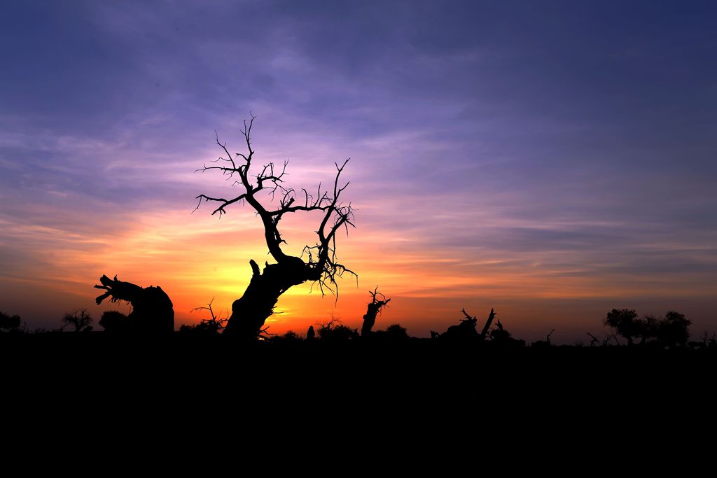 img_7957__.jpg