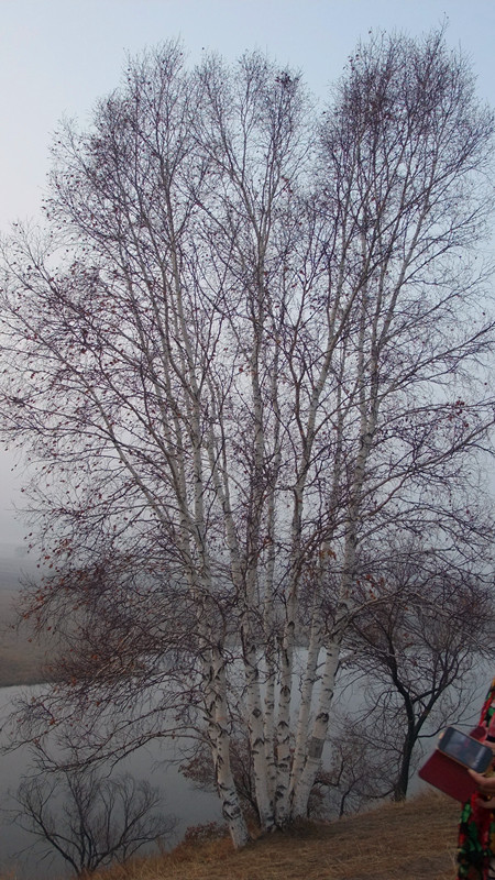 dscf0540_ת_ת_ת_ˮī5.jpg