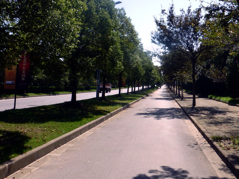 p1130329.jpg