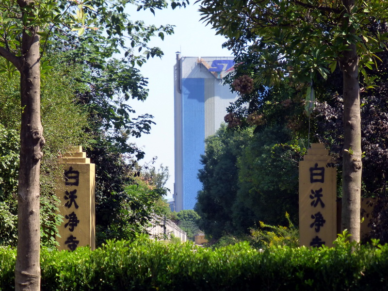 p1130331.jpg