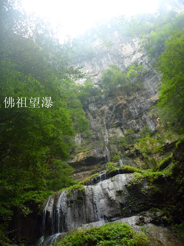 p1160645_.jpg