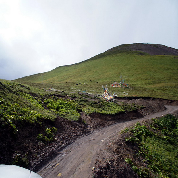 dsc04293.jpg